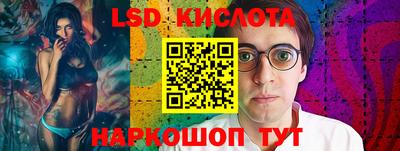 СК Владимир