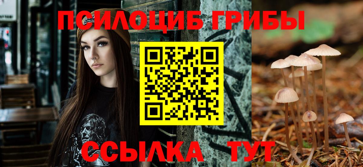 Псилоцибиновые грибы GOLDEN TEACHER  Галлюциногенные грибы Psilocybe  Бахчисарай  Вход с VPN 
