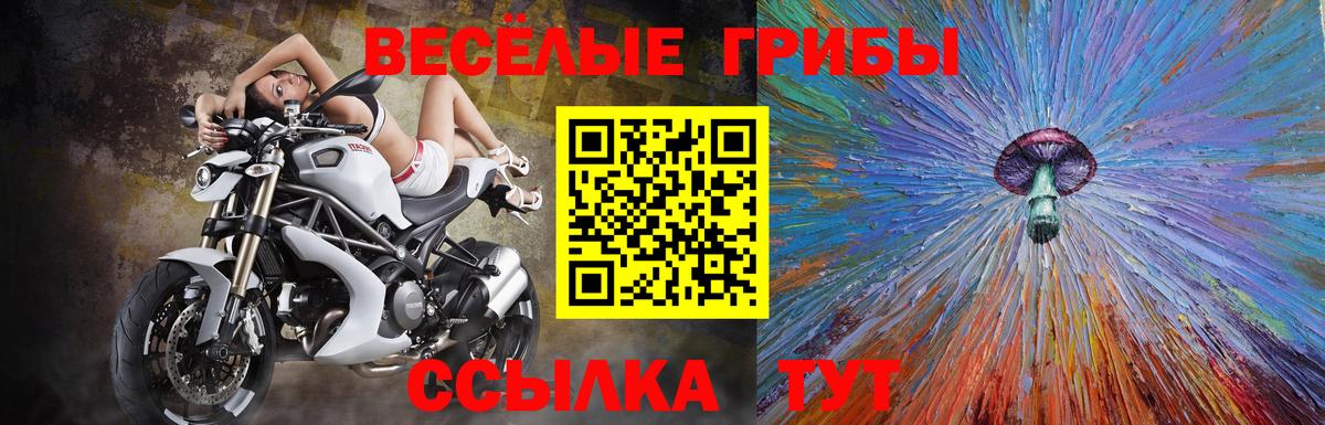 Псилоцибиновые грибы MAGIC MUSHROOMS Бахчисарай